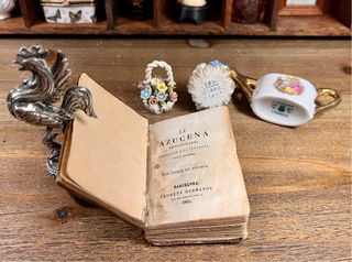 Espectacular Gabinete de curiosidades decorativo