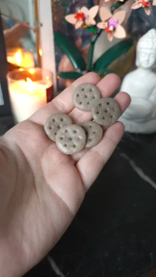 Waxmelts "Galleta María"