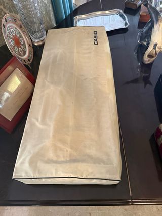 Tastierino Casio Casiotone 401