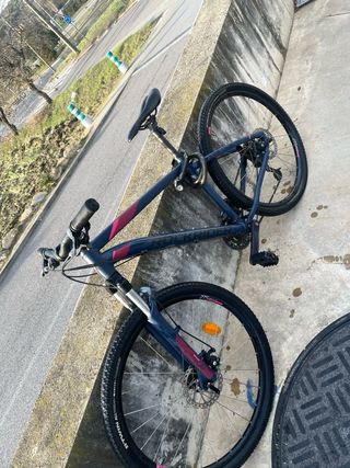 Bicicleta de montaña azul y rosa