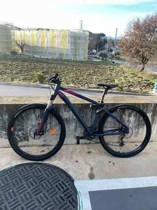 Bicicleta de montaña azul y rosa