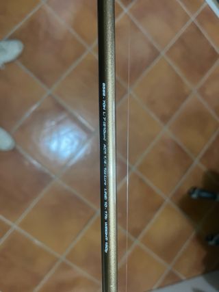 Caña Cinnetic con carrete daiwa