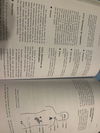 Biología. Prueba de acceso a la Universidad par...