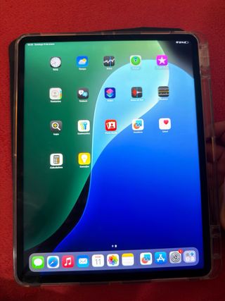 iPad Pro 12.9 M2 256GB Plata