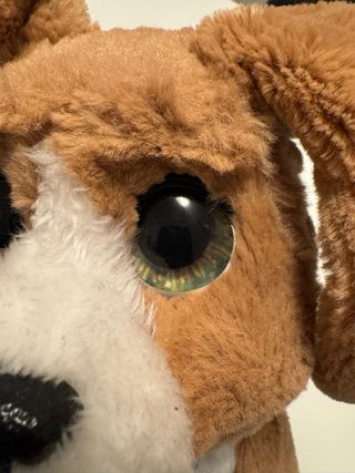 FurReal Friends Chatty Charlie il cagnolino Hasbro