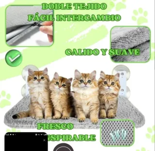 Cama gato  ventosas