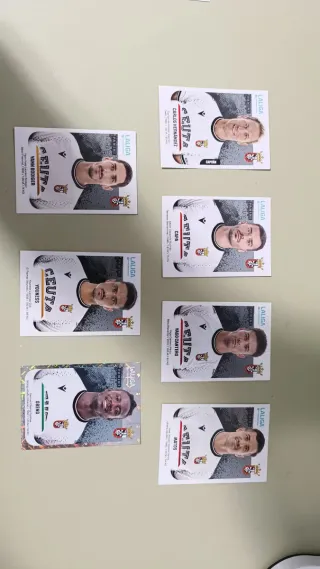 Cromo Liga Hypermotion  Panini