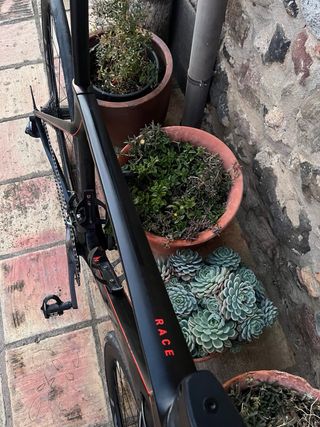 Bicicleta de carretera Cube Agree Race