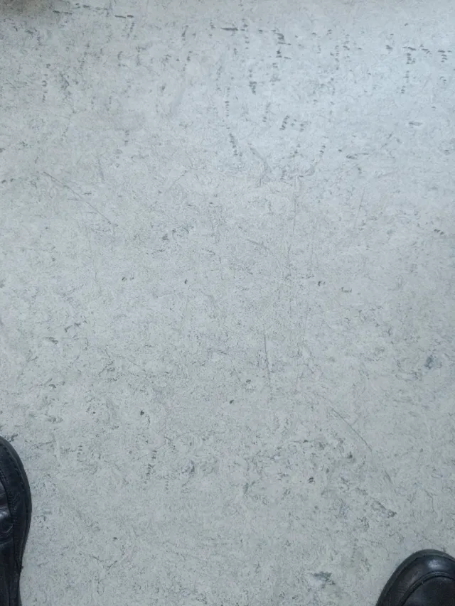 Defensas Seat 600, 850, 127 Cromadas