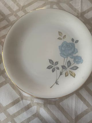 Vajilla de porcelana antigua con flores azules
