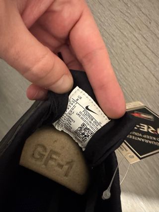 Nike Pegasus Trail 5 GTX Negro