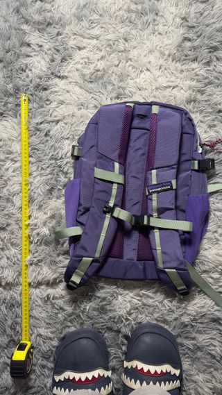 Zaino Patagonia Viola Nuovo