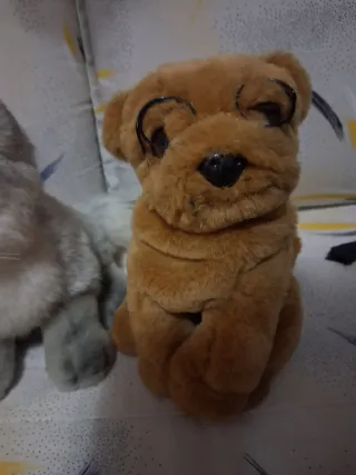 5 peluche: orso, scimmia, cane