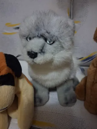 5 peluche: orso, scimmia, cane