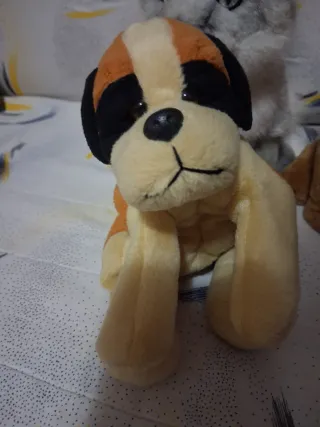 5 peluche: orso, scimmia, cane