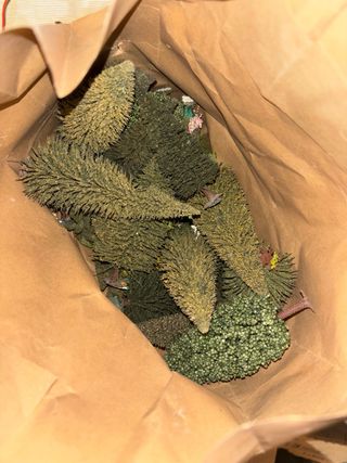 Lote Maquetas Trenes H0 y N