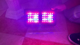 Lámpara LED Cultivo Interior