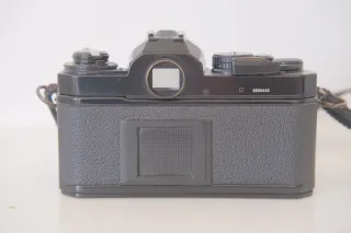 Nikon FE2 + nikkor 50mm f1.4