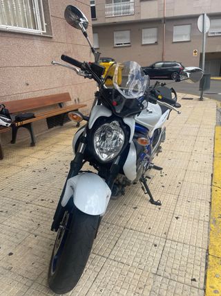 Suzuki Gladius 650