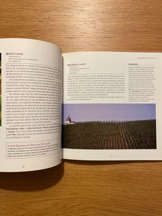 Las rutas del vino en el mundo: Alemania y Europa