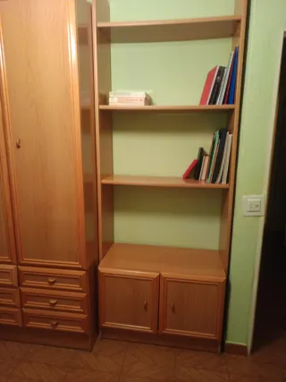 Armario y estantería de madera