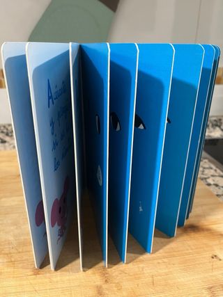 El libro que duerme (Spanish Edition)