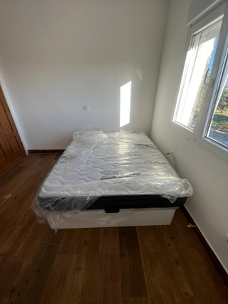 Canapes Canapes Canapes Canapes Canapes