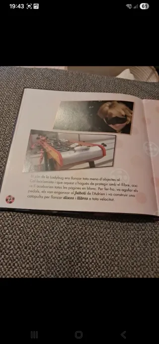 El col·leccionista de Ladybug