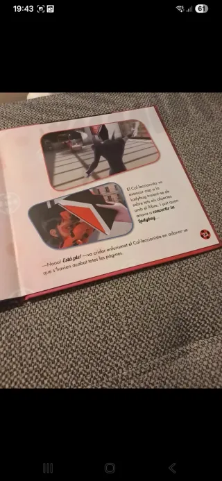 El col·leccionista de Ladybug