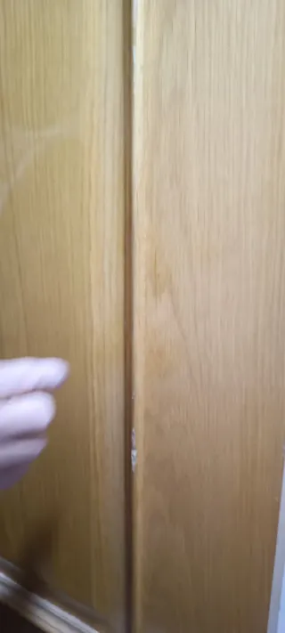 Puerta de madera interior