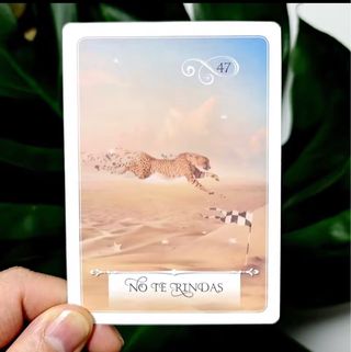 Oráculo de la Sabiduría - Colette Baron-Reid