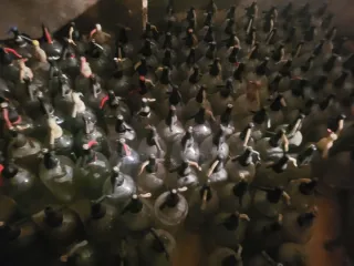 Gran lote de sifones antiguos loreto, talavera