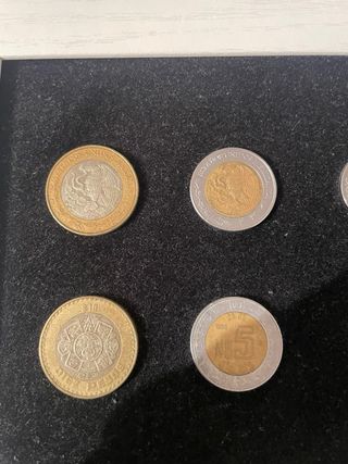 Monete in dollari, pesos, sterline e marchi