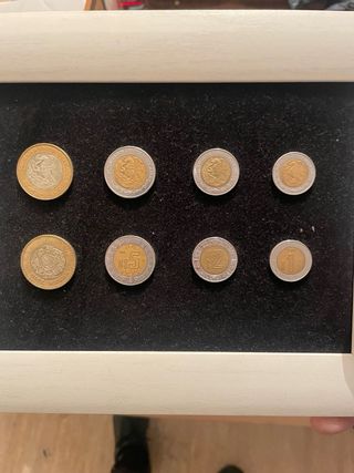 Monete in dollari, pesos, sterline e marchi