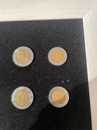 Monete in dollari, pesos, sterline e marchi