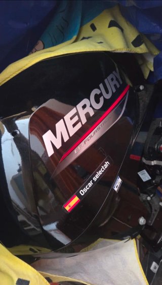 BARCA DE FIBRA + MOTOR MERCURY 15CV+ MOTOR EVINRUD