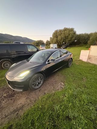 Tesla Model 3 2019