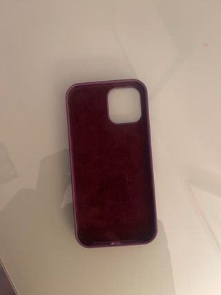 Custodia protettiva iPhone 12 Pro Max viola e verde chiaro