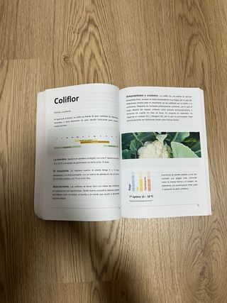 Creando un huerto ecológico: Crea tu propio hue...