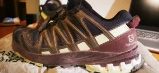 Salomon XA Pro 3D Goretex Montaña