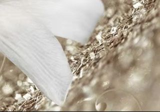 5 lienzos (sin bastidor) Flores blancas, dorados.