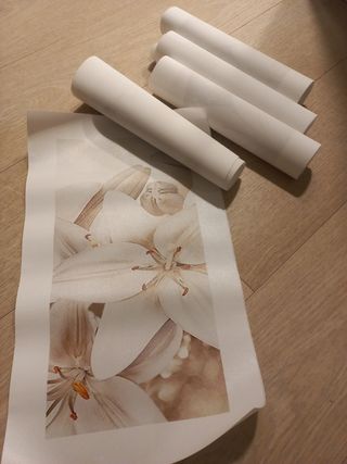 5 lienzos (sin bastidor) Flores blancas, dorados.