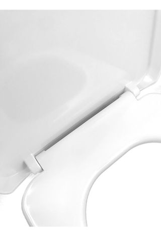 Tapa y asiento baño