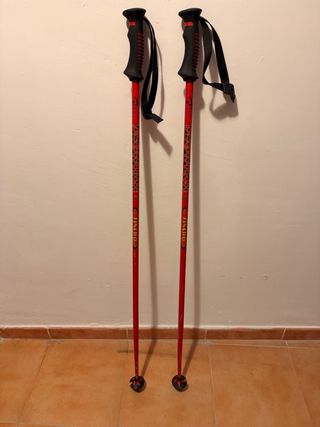 Esquís Dynastar Mondial