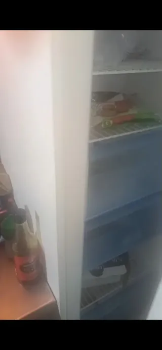 Traspaso Maquinaria Rostisería