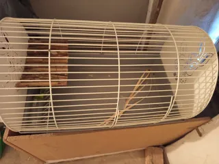 Jaula Conejo Diseño Bunny Blanco Gris