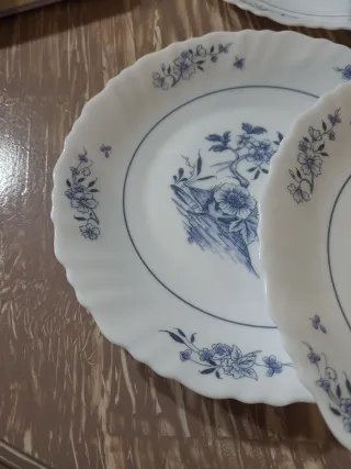 6 Platos Vintage Arcopal Kalinka festoneado.