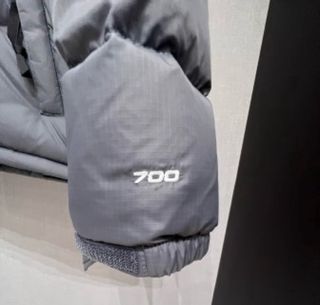 Chaqueta The North Face Gris