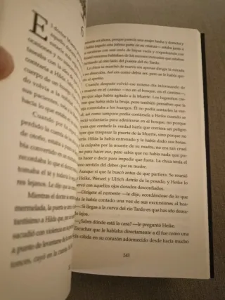 Brumagrís (Spanish Edition)