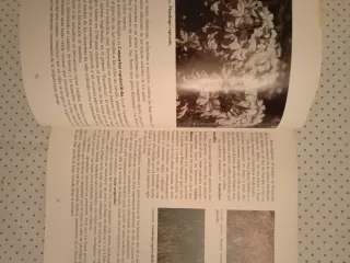 El parque de María Luisa su historia, su poesía...